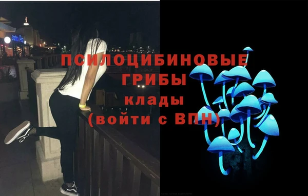 дживик Алексин