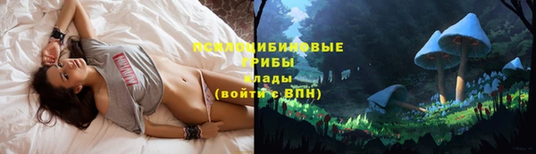 тгк Абинск