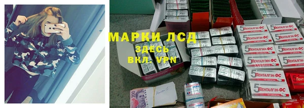 ПСИЛОЦИБИНОВЫЕ ГРИБЫ Абаза
