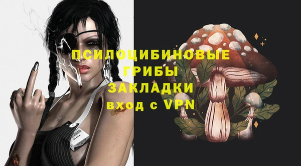 ПСИЛОЦИБИНОВЫЕ ГРИБЫ Абаза
