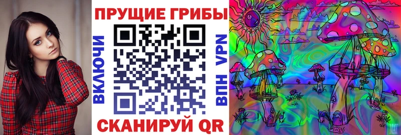 купить закладку Питкяранта Галлюциногенные грибы Psilocybe